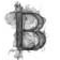 nopCommerce logo